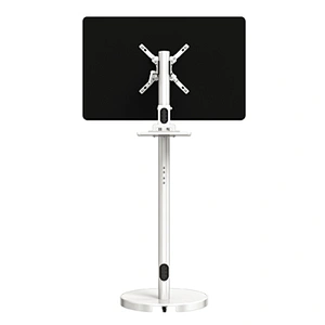 Adjustable Mobile TV Stand